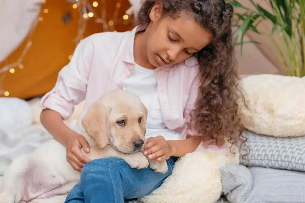 Are You Ready for a Pet?